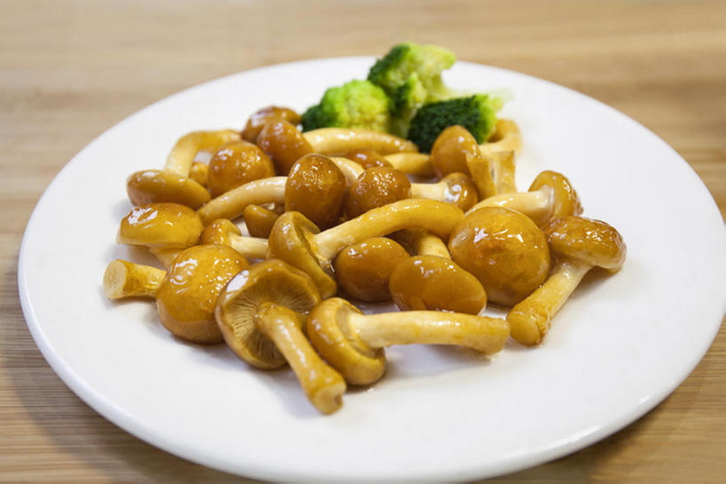 无人,横图,白色背景,蔬菜,椰菜,静物,中国,亚洲,蘑菇,美味,食品,饮品,饮食,餐饮,食物,饮料,盘子,中国菜,食用菌,摄影,有机食品,膳食,可口,东亚,健康食物,滑子菇,适口,彩图,影棚拍摄,bj175