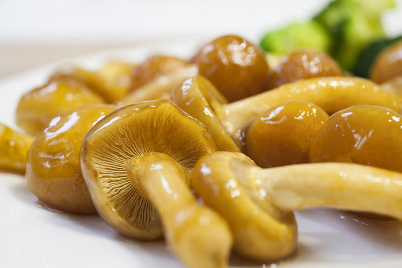 无人,横图,特写,白色背景,蔬菜,椰菜,静物,中国,亚洲,蘑菇,美味,食品,饮品,饮食,餐饮,食物,饮料,中国菜,食用菌,摄影,有机食品,膳食,可口,东亚,健康食物,滑子菇,适口,彩图,影棚拍摄,bj175