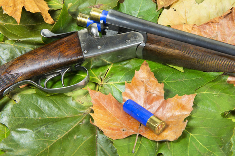 无人,横图,特写,静物,准备,树叶,武器,摄影,子弹,危险,彩图,鸟枪,bj175