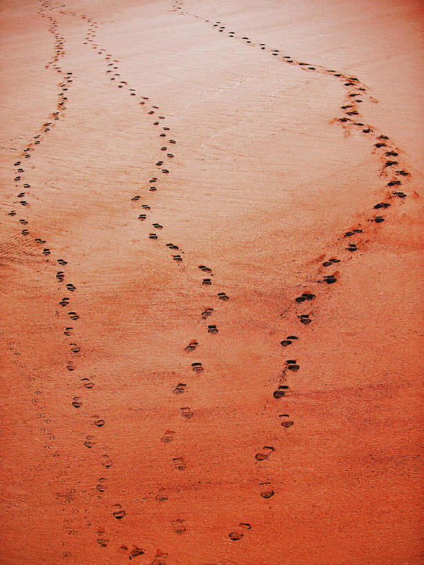 无人,竖图,室外,白天,旅游,度假,美景,美国,一排,脚印,整齐,沙子,地形,景观,方向,娱乐,排列,风景,自然,享受,休闲,景色,放松,摄影,宁静,队列,加利福尼亚,自然风光,圣克鲁斯,海滩,休闲活动,彩图,旅行,bj175