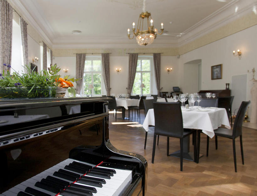 无人,横图,室内,吃饭,酒店,餐具,爱沙尼亚,饭厅,钢琴,枝条,乐器,三角钢琴,圣诞球,音乐,吊灯,树枝,摄影,高雅,华贵,虬枝,枝杈,彩图,餐馆,bj175