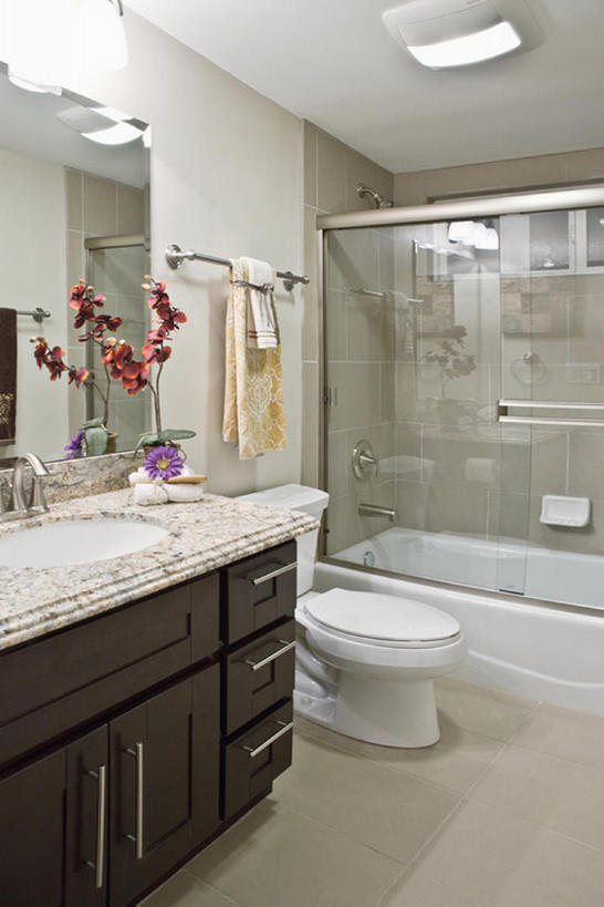 无人,家,竖图,室内,镜子,浴室,美国,一排,整齐,洗手池,公寓,干净,现代,排列,浴盆,摄影,抽水马桶,照亮,卫生,风格,队列,加利福尼亚,房地产,厕所,彩图,bj175